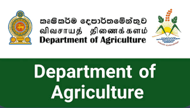 Department of Agriculture